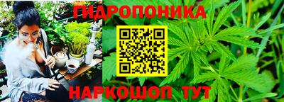 дмт Севастополь