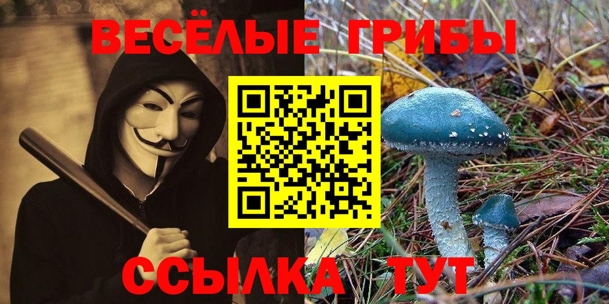 Омск  Псилоцибиновые грибы MAGIC MUSHROOMS  Вход с VPN 